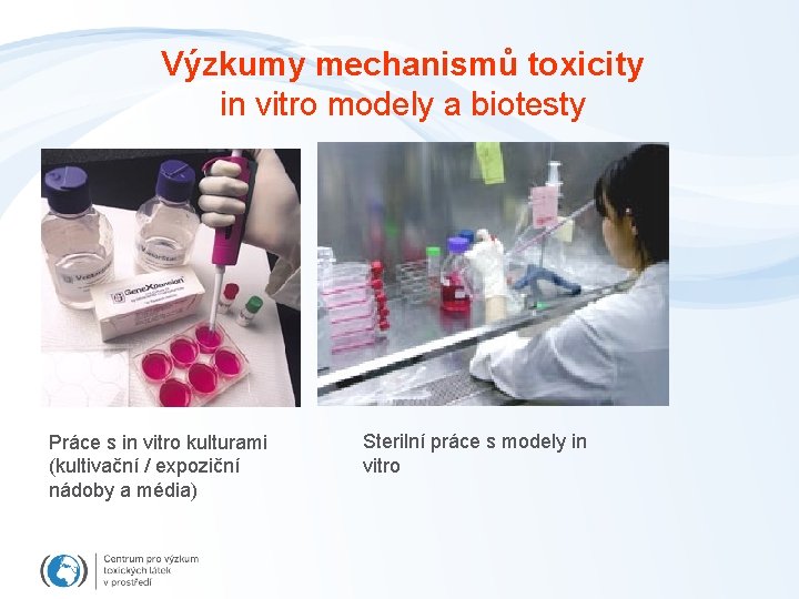 Výzkumy mechanismů toxicity in vitro modely a biotesty Práce s in vitro kulturami (kultivační