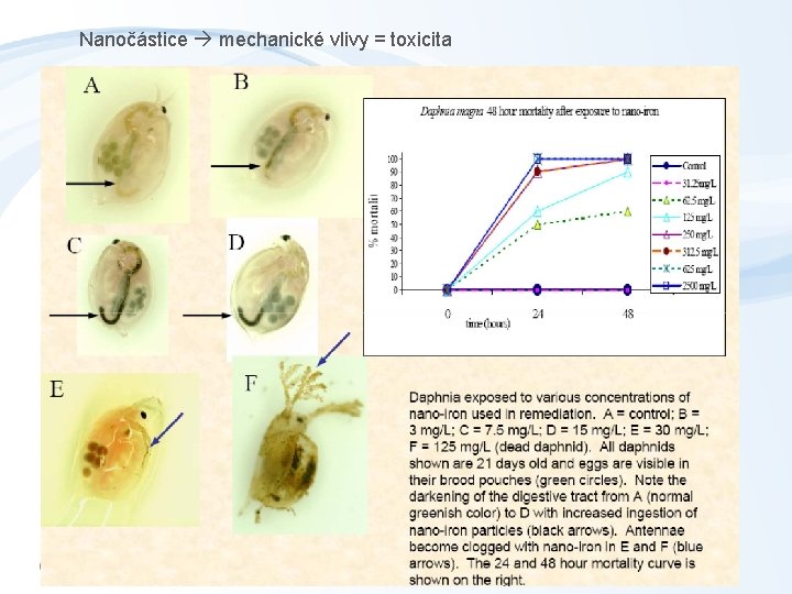 Nanočástice mechanické vlivy = toxicita Nanočástice mechanické vlivy = toxicita