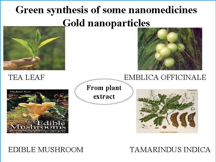 Green synthesis of some nanomedicines Gold nanoparticles TEA LEAF EMBLICA OFFICINALE From plant extract