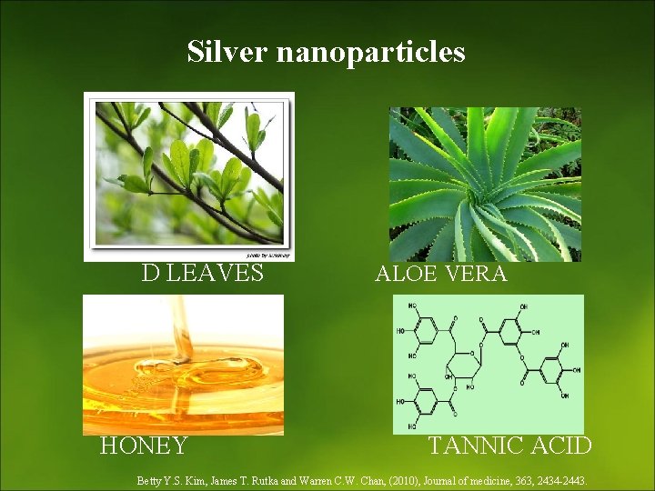 Silver nanoparticles D LEAVES ALOE VERA HONEY TANNIC ACID Betty Y. S. Kim, James