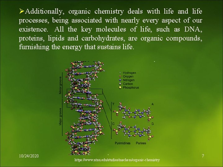 ØAdditionally, organic chemistry deals with life and life processes, being associated with nearly every