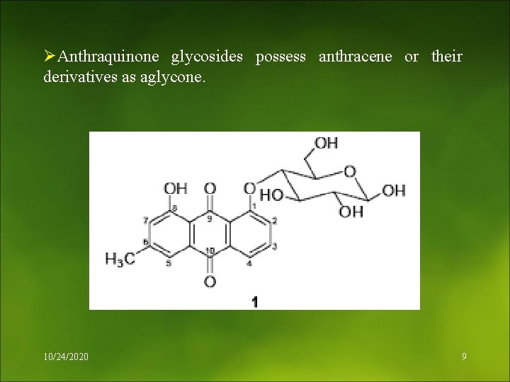 ØAnthraquinone glycosides possess anthracene or their derivatives as aglycone. 10/24/2020 9 