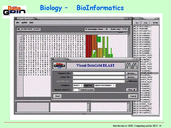 Biology – Bio. Informatics Introduction to GRID Computing and the EDG 14 Biology – Bio. Informatics Introduction to GRID Computing and the EDG 14