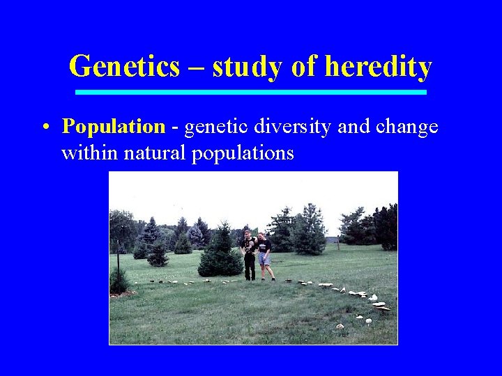 Genetics – study of heredity • Population - genetic diversity and change within natural