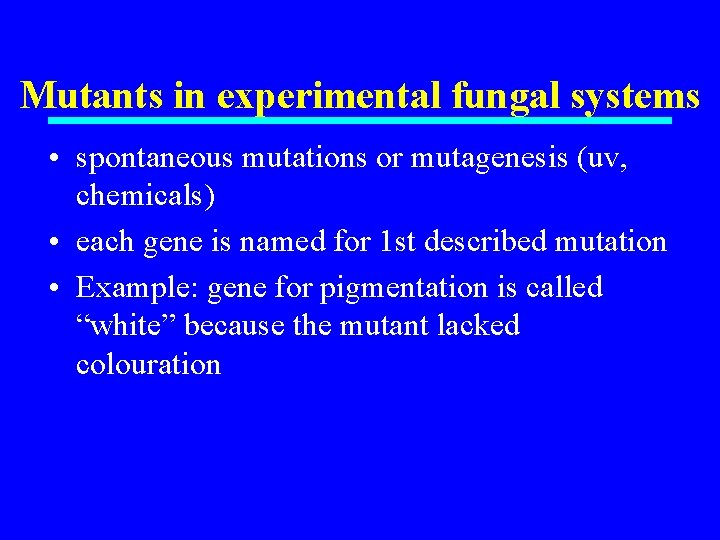 Mutants in experimental fungal systems • spontaneous mutations or mutagenesis (uv, chemicals) • each