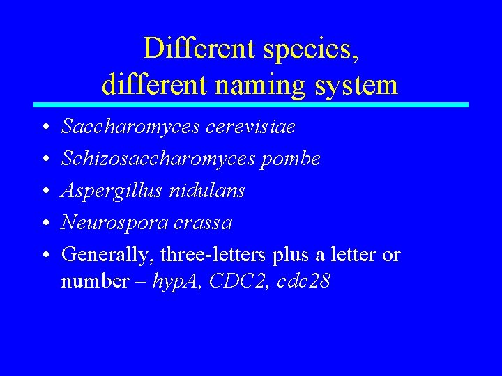 Different species, different naming system • • • Saccharomyces cerevisiae Schizosaccharomyces pombe Aspergillus nidulans