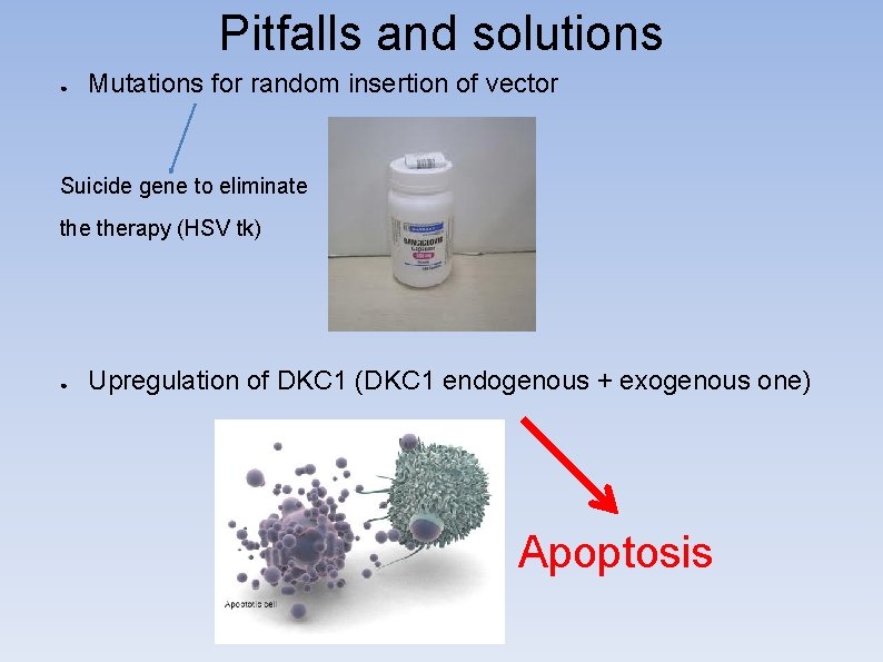 Pitfalls and solutions ● Mutations for random insertion of vector Suicide gene to eliminate