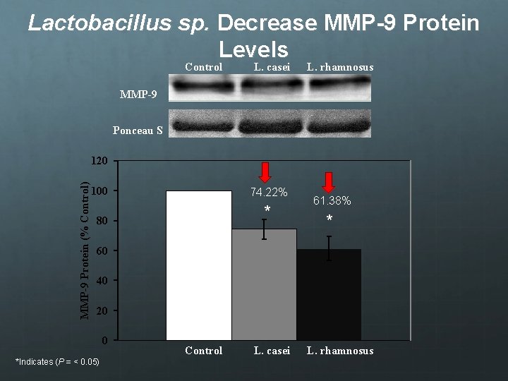 Lactobacillus sp. Decrease MMP-9 Protein Levels Control L. casei L. rhamnosus MMP-9 Ponceau S