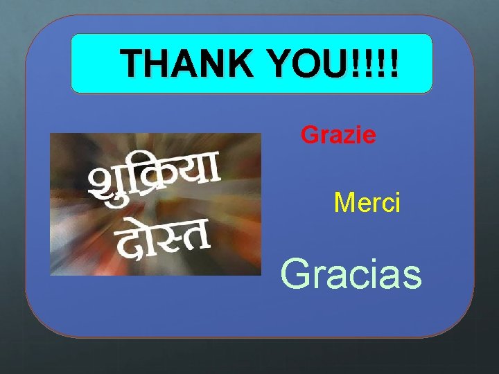 THANK YOU!!!! Grazie Merci Gracias 