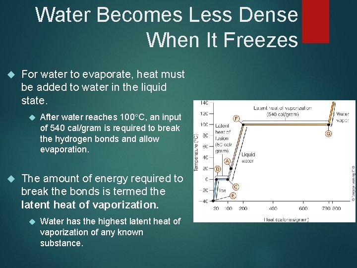 Water Becomes Less Dense When It Freezes For water to evaporate, heat must be