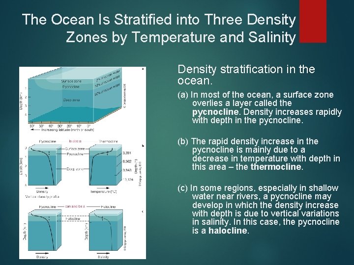 The Ocean Is Stratified into Three Density Zones by Temperature and Salinity Density stratification