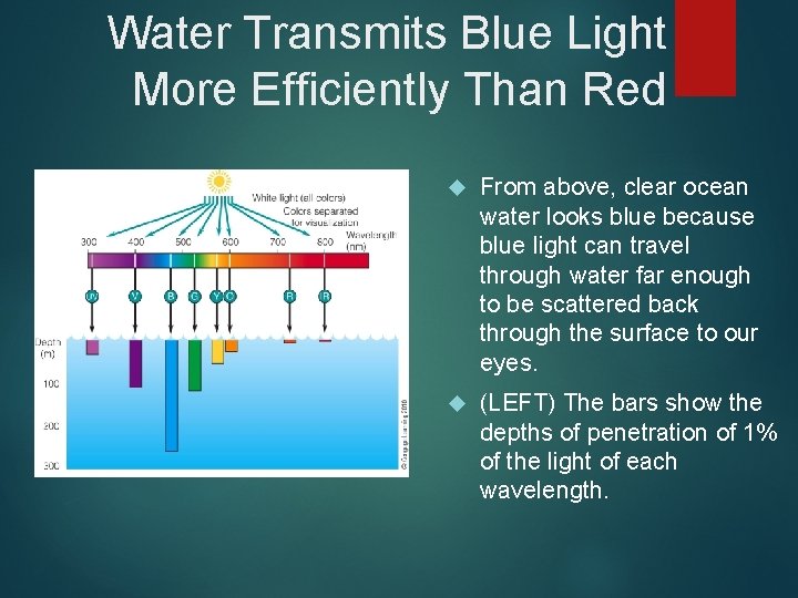 Water Transmits Blue Light More Efficiently Than Red From above, clear ocean water looks