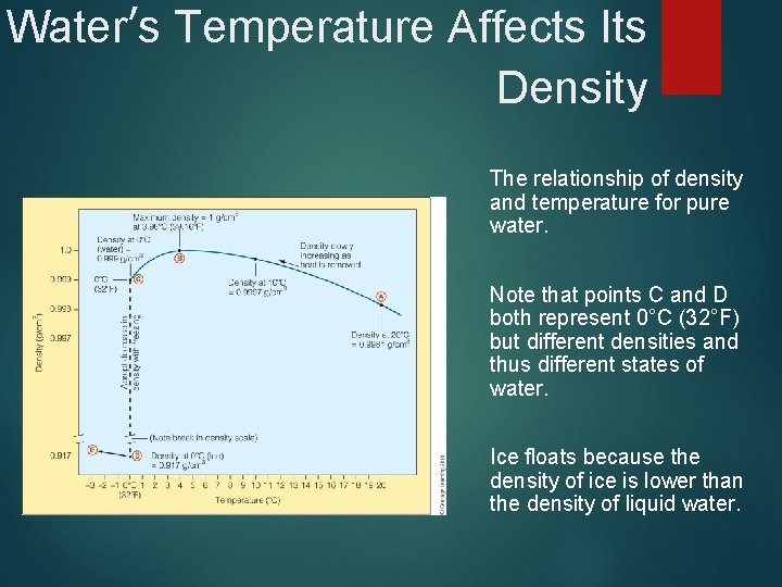 Water’s Temperature Affects Its Density The relationship of density and temperature for pure water.