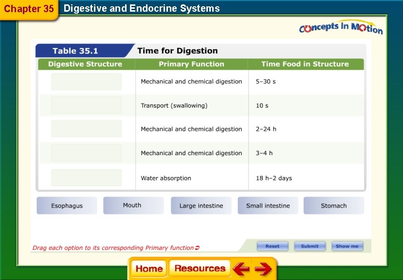 Chapter 35 Digestive and Endocrine Systems 
