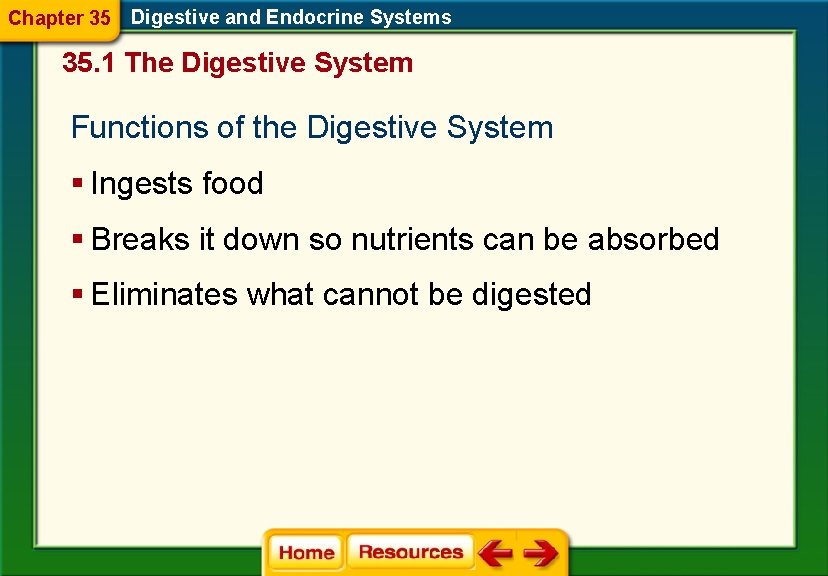 Chapter 35 Digestive and Endocrine Systems 35. 1 The Digestive System Functions of the