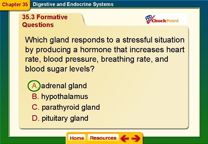 Chapter 35 Digestive and Endocrine Systems 35. 3 Formative Questions Which gland responds to