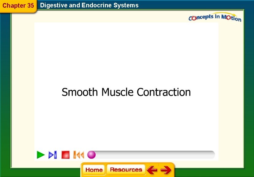 Chapter 35 Digestive and Endocrine Systems 