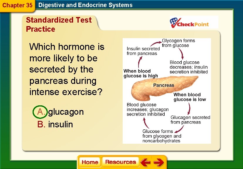 Chapter 35 Digestive and Endocrine Systems Standardized Test Practice Which hormone is more likely