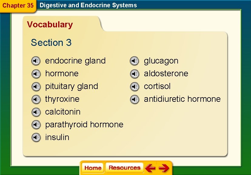 Chapter 35 Digestive and Endocrine Systems Vocabulary Section 3 endocrine gland glucagon hormone pituitary