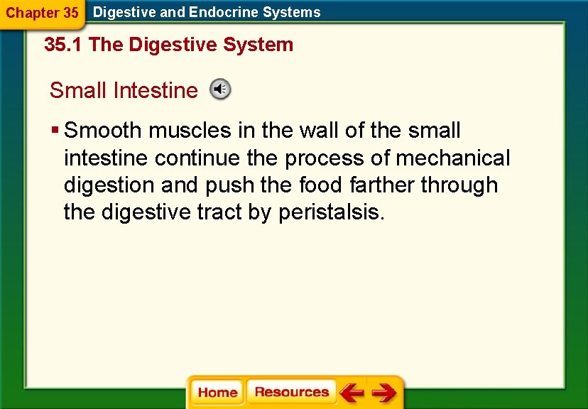 Chapter 35 Digestive and Endocrine Systems 35. 1 The Digestive System Small Intestine §