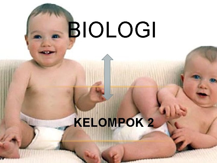 BIOLOGI KELOMPOK 2 