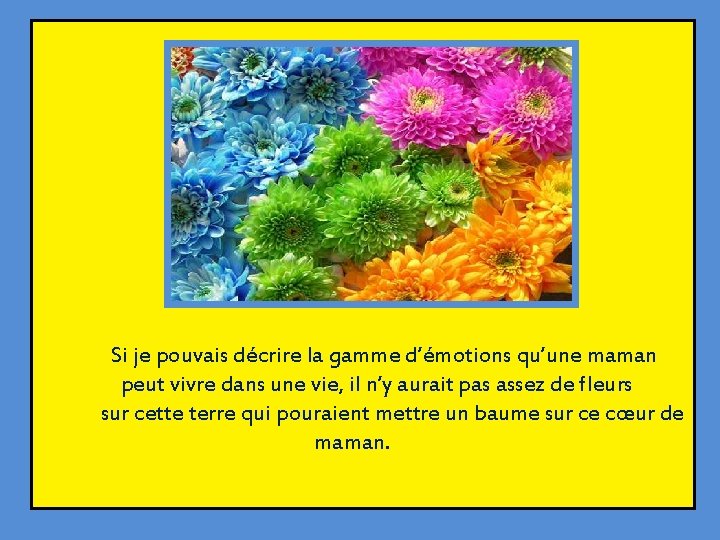 Si je pouvais décrire la gamme d’émotions qu’une maman peut vivre dans une vie,