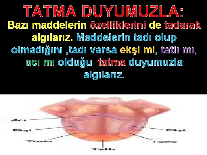 TATMA DUYUMUZLA: Bazı maddelerin özelliklerini de tadarak algılarız. Maddelerin tadı olup olmadığını , tadı