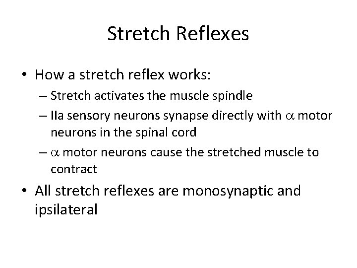 Stretch Reflexes • How a stretch reflex works: – Stretch activates the muscle spindle