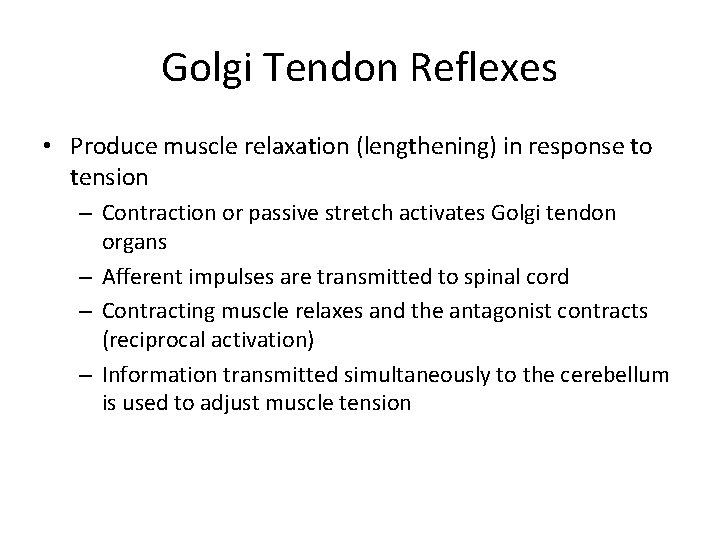 Golgi Tendon Reflexes • Produce muscle relaxation (lengthening) in response to tension – Contraction