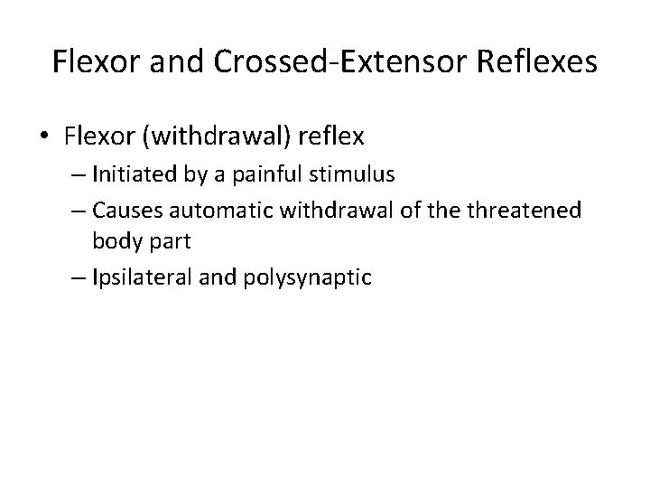 Flexor and Crossed-Extensor Reflexes • Flexor (withdrawal) reflex – Initiated by a painful stimulus