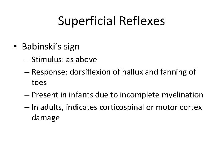 Superficial Reflexes • Babinski’s sign – Stimulus: as above – Response: dorsiflexion of hallux