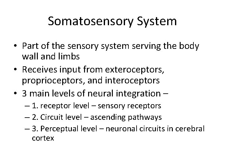 Somatosensory System • Part of the sensory system serving the body wall and limbs