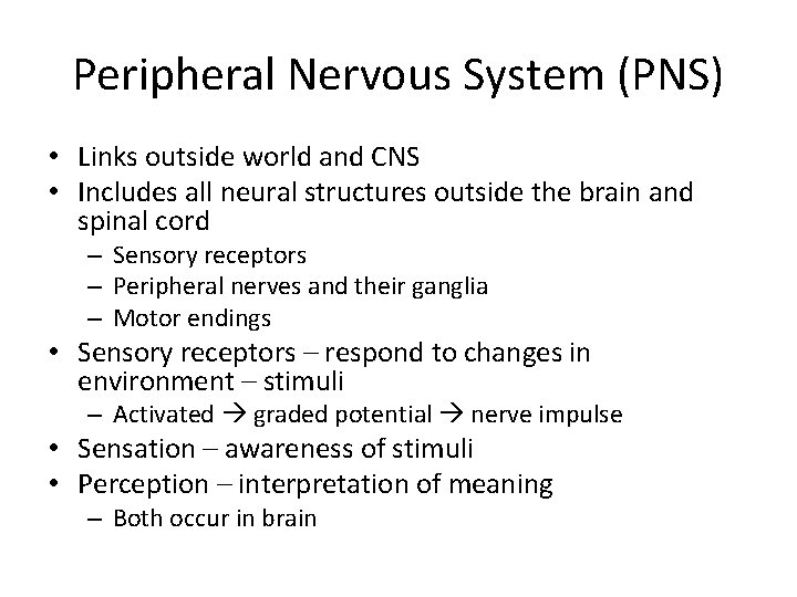 Peripheral Nervous System (PNS) • Links outside world and CNS • Includes all neural