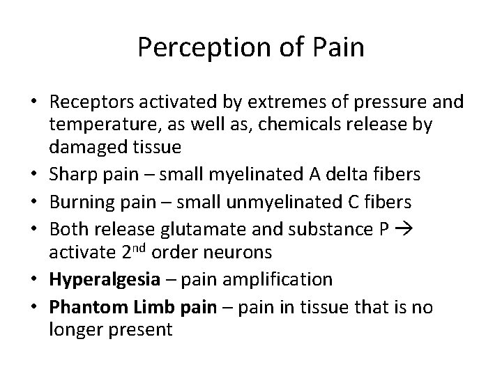 Perception of Pain • Receptors activated by extremes of pressure and temperature, as well