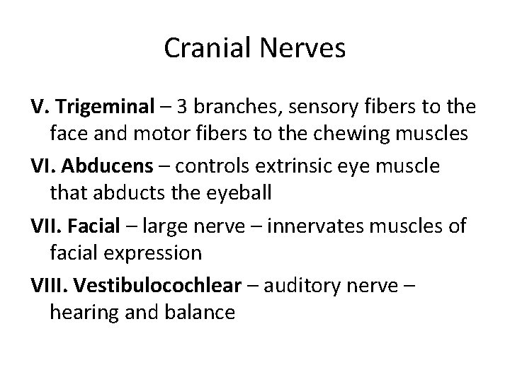 Cranial Nerves V. Trigeminal – 3 branches, sensory fibers to the face and motor