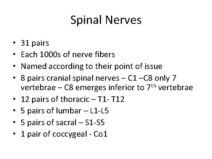 Spinal Nerves • • 31 pairs Each 1000 s of nerve fibers Named according