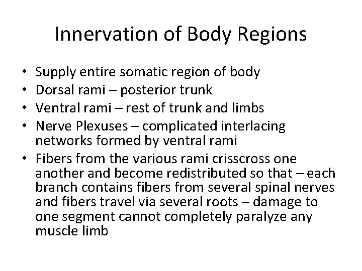Innervation of Body Regions Supply entire somatic region of body Dorsal rami – posterior