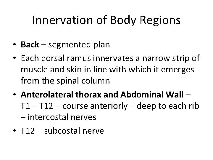 Innervation of Body Regions • Back – segmented plan • Each dorsal ramus innervates