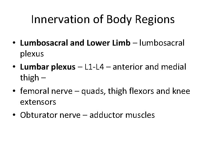 Innervation of Body Regions • Lumbosacral and Lower Limb – lumbosacral plexus • Lumbar