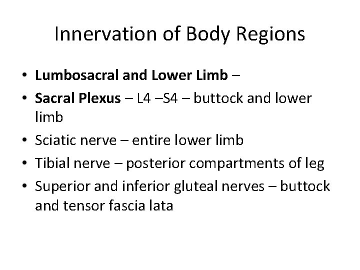 Innervation of Body Regions • Lumbosacral and Lower Limb – • Sacral Plexus –