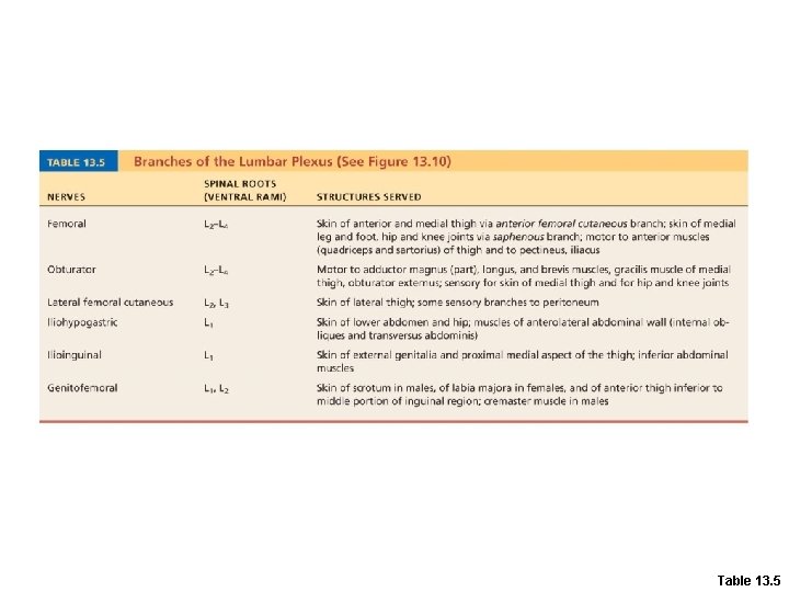 Table 13. 5 