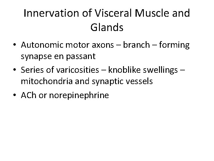 Innervation of Visceral Muscle and Glands • Autonomic motor axons – branch – forming