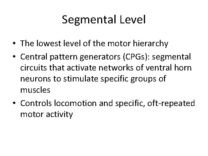 Segmental Level • The lowest level of the motor hierarchy • Central pattern generators