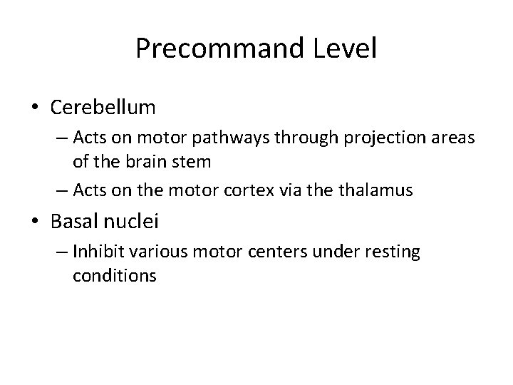 Precommand Level • Cerebellum – Acts on motor pathways through projection areas of the