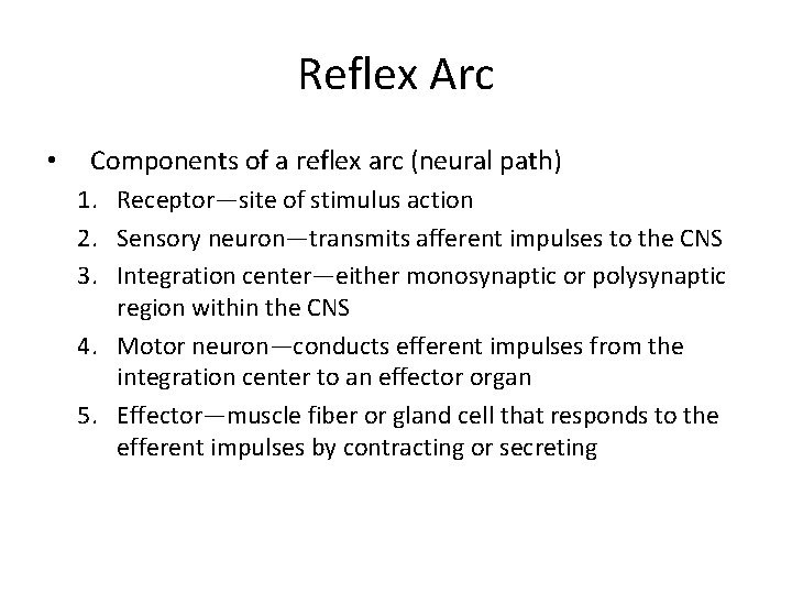 Reflex Arc • Components of a reflex arc (neural path) 1. Receptor—site of stimulus