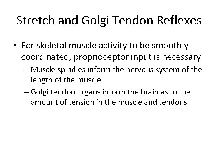 Stretch and Golgi Tendon Reflexes • For skeletal muscle activity to be smoothly coordinated,