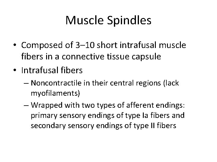 Muscle Spindles • Composed of 3– 10 short intrafusal muscle fibers in a connective