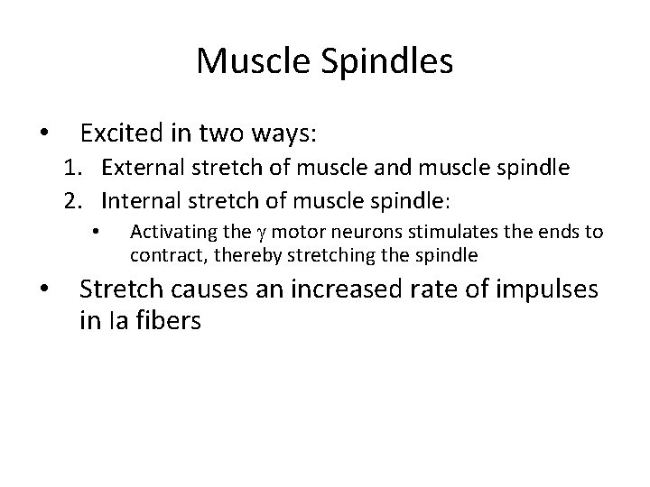 Muscle Spindles • Excited in two ways: 1. External stretch of muscle and muscle