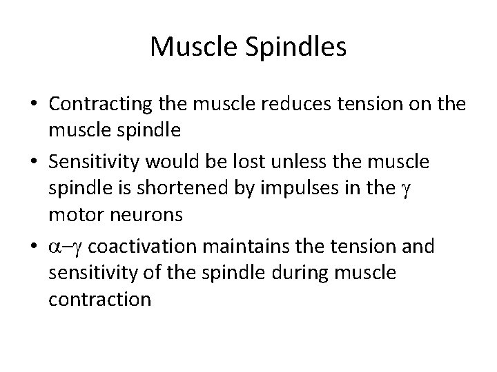 Muscle Spindles • Contracting the muscle reduces tension on the muscle spindle • Sensitivity