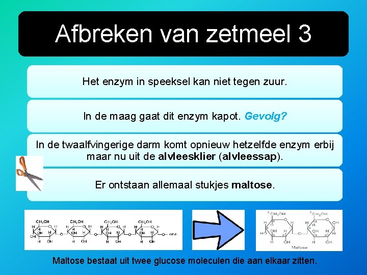 Afbreken van zetmeel 3 Het enzym in speeksel kan niet tegen zuur. In de